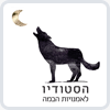 הסטודיו לאמנויות הבמה – תיאטרון חולון